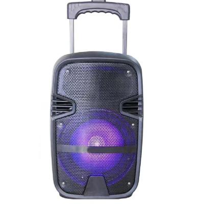 China BT/USB/TF/FM/AUX/MIC/Led light hot new style loud speakers speech loudspeaker DJ outdoor large volume speaker for sale