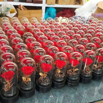 China Natural touch 24K gold preserved fresh cut roses in glass dome for sale