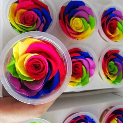 China Natural Touch New Products 6-7cm Preserved Handmade Rainbow Roses for sale