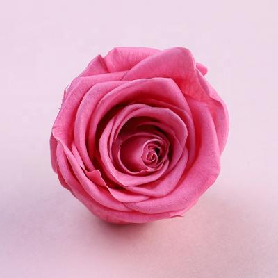 China Touch 37 Colors 6-7cm Natural Preserved Piccola Roses, Preserved Flowers for Home and Wedding Decor for sale