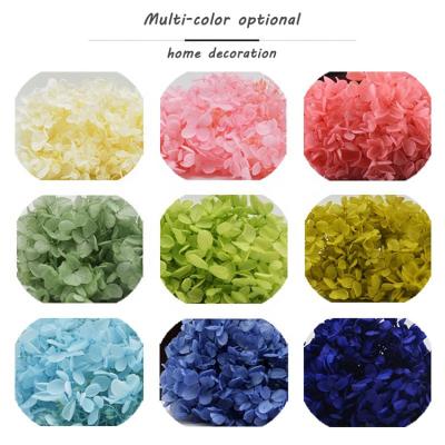 China Flower Diy - Hydrangea Flower DIY Decoration Preserved Dry Flower for sale