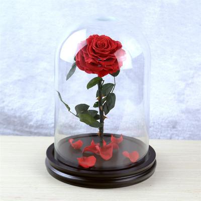 China Natural Touch Beautiful Artificial Red Rose Eternal Rose Clear Glass Ball for sale