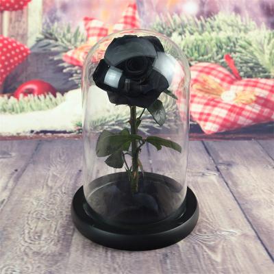 China Natural Touch Forever Rose Flower In Glass Dome Preserved Black Rose for sale