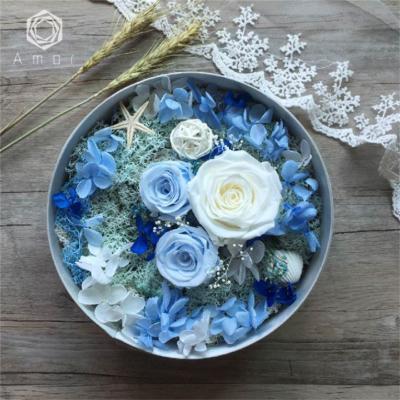 China Natural Touch Top Tidy Eternal Life To Spend Dried Flowers In Glass Ball for sale