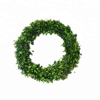 China Wholesale Preserved Christmas Boxwood Garland Wreath Durable 25cm Diameter Decorated for sale