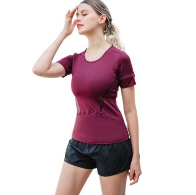 China China Factory QUICK DRY Solid Color High Quality T-Shirt For Women Customized Women's O-Neck T-Shirts for sale