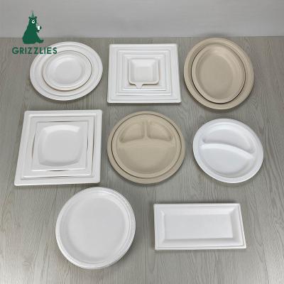 China Disposable Eco-friendly Sugar Cane Plate Sugarcane Pulp Bagasse Dish Compostable Tableware for sale