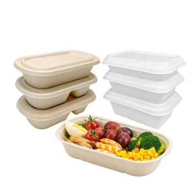 China Biodegradable Compostable Sugarcane Tableware Bagasse Disposable Products Pulp Outlet Molding Heat Resistant Microwavable Food Container for sale