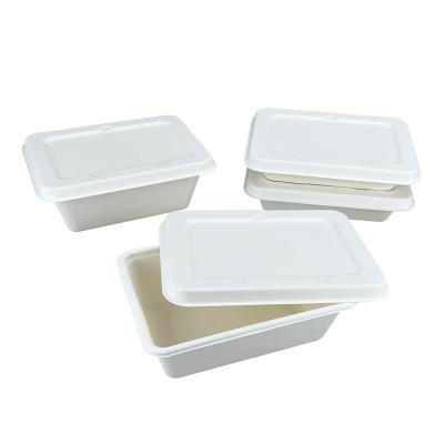 China Eco Packaging 500ml 650ml 800ml 1000ml Disposable Compostable Zucchero Sugar Cane Canna DA To Go Bagasse Container With Lid Food Salad Box for sale