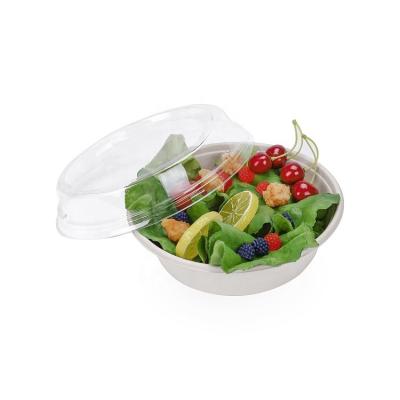 China Hot Sale Biodegradables 100% Compostable Degradable Bowl Microwave Safe Bio Ok Compost Bagasse Home Certified Bowl for sale