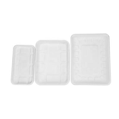 China Disposable Eco Bagasse Compostable Biodegradable Meat Tray Fruit Vegetable Tray for sale