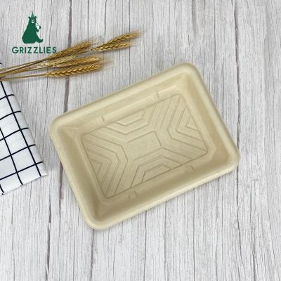 China Fruit Salad Disposable Biodegradable Food Bagasse Sugarcane Chicken Rectangular Food Grade Tray for sale