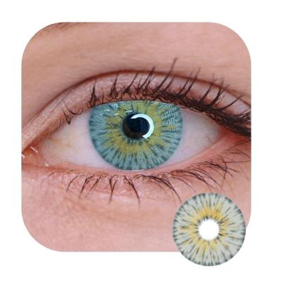 China Eye Cosmetic New York Color Contact Lenses Monthly Natural Color Contact Lens New for sale