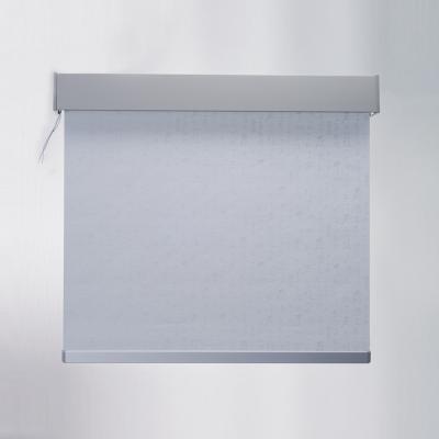 China Luxury Customized Waterproof Blackout Smart Roller Shades, Durable Square Cover, Indoor Electric Roller Shade for sale