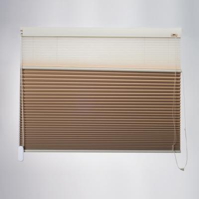 China Manual Double Layer Honeycomb Blinds Day And Night Waterproof Indoor Window Shade Shade Double Roller Blinds for sale