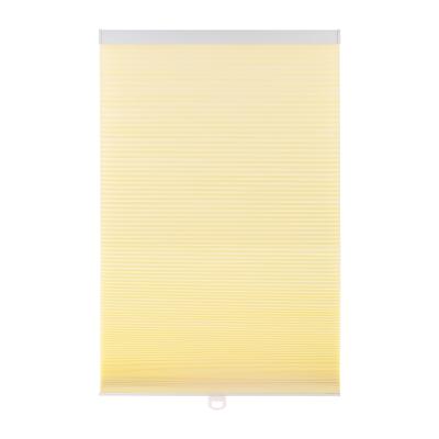 China Waterproof Day and Night Honeycomb Cellular Shades Double Filtering Cell Light Blackout Honeycomb Shades for sale