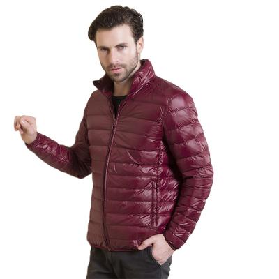 China Custom Made Winter Waterproof Clothes Mens Premium Windproof Down Woven Thick Waterproof Stripper Jacket For Men for sale