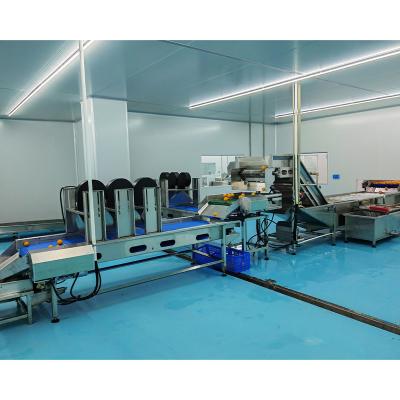 China Fruit Cleaning Automatic Concentrate Mango Fruit Juice Processing Filling Machine Production Line for sale