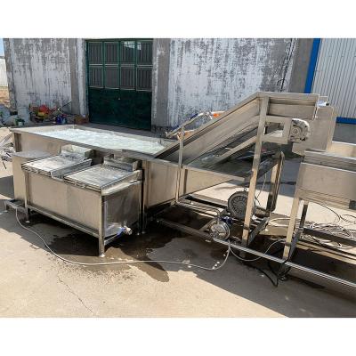 China Vegetable Commercial Automatic Bubble Fruit Washing Machine Price Fruit And Vegetable Cleaning Washing Machine for sale