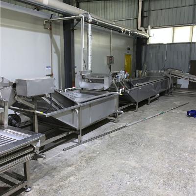 China Fruit Cleaning 304 Stainless Steel Bubble Bamboo Shoot Machine Industrial Cleaning Vegetable Washing Machine for sale