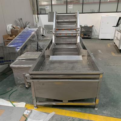 China Vegetable Cleaning Washing Line Automatic Bubble Equipment Washer Vegetable Fruit Cleaning Machine for sale