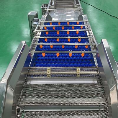 China Fruit Cleaning China Cheap Price 304 Stainless Steel Automatic Vegetable Bubble Processing Line Vegetable Cleaning Machinery / Apple Washing Fruit for sale