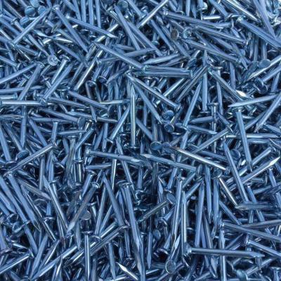 China Carbon Steel Flat Nail for Staple Nail for sale