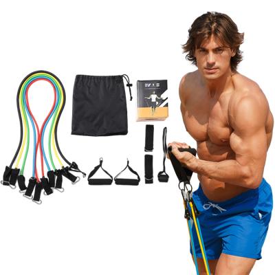 China Tpe Bands Set Sliders Beginners Home Workout Chest Kit TPE Resistance Bands Wall Attachments Resistance Tube Exercises zu verkaufen