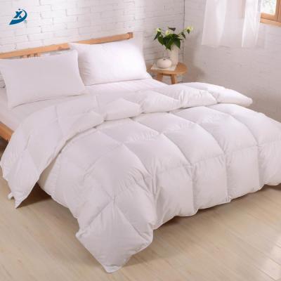 China Home Comforter Luxury Warm Winter Soft Thin Down Comforter for sale