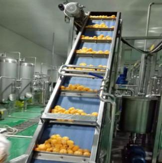 China Fully Automatic System Citrus/Orange Juice Processing Line for sale