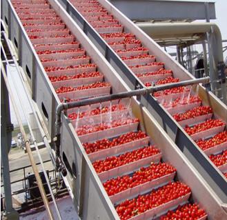 China Turnkey Project Tomato Paste/Sauce Production Line for sale