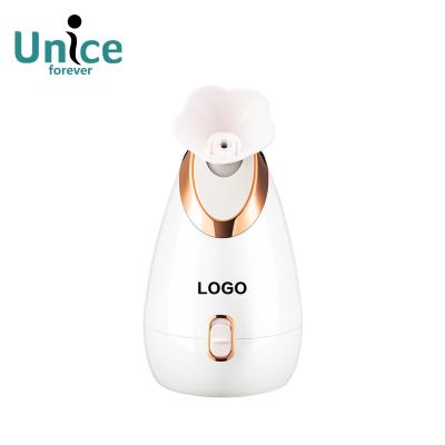 China Home Moisturizer Mist Wholesale Vaporizer Facial Electric Nano Deep Facial Steamer for sale