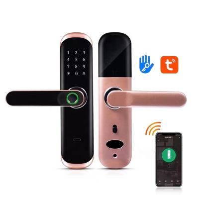 China TUYA/TTlock Aluminum Alloy Fingerprint Smart Door Lock Wireless Door Lock Access Control Electric Code Alexa Google Assistant Digital for sale