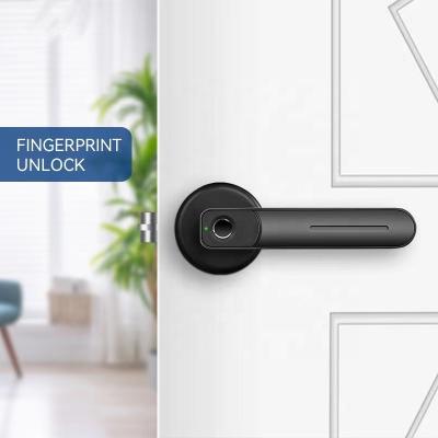 China Zinc alloy virtual wifi door lock fingerprint security door lock handle smart door lock for sale