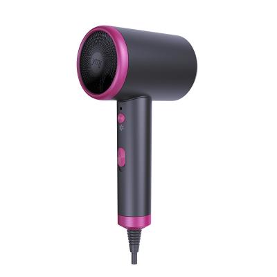 China Professional Salon Ionic Hair Dryer For Home Salon Hair Drying Beauty Equipment for sale