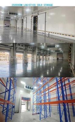 China Aluminum Frame Cold Room Hinged Door For Cold Storage And Warehouse zu verkaufen