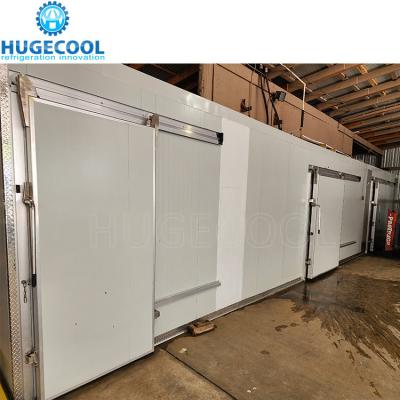 Κίνα Walk In Cooler Sliding Door Freezer Room Door Cold Room Door προς πώληση