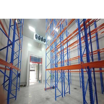 Cina Large Freezer Cold Room For Vegetable Portable Refrigeration Unit in vendita