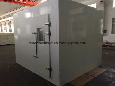 China Customized Request Air Cooled Fresh Keeping Cold Room Chiller for Fruit Customization for sale