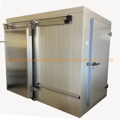 Κίνα Μικρό ψυκτικό PU/PIR Sandwich Panel Ψυχρή αποθήκευση Ψυχρό δωμάτιο για λύσεις αποθήκευσης προς πώληση