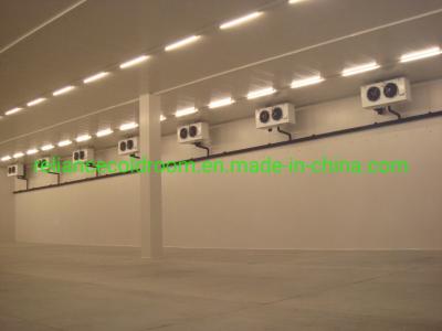 China Food Grade Professional Cold Room Cooler/Chiller/Freezer Room with Air Cooler Design for sale