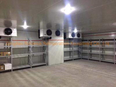 China COLDROOM19 Industrial Deep Freezer Cold Storage with Solar Panel Energy Powder and Battery for sale