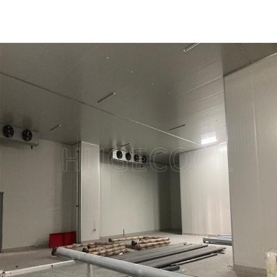 China Walk in Chiller/Walk in Freezer Cold Room with XPS Floor Panel and Hot Gas Defrost for sale