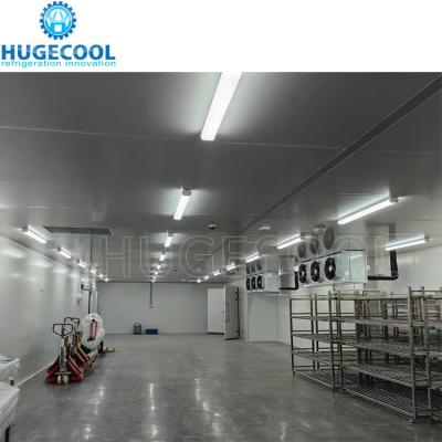 China Cold Storage Operation Hugecool Walk in Cold Room Chambers Fridge Temperature -10-0C for sale