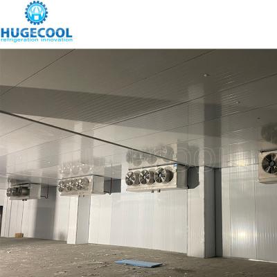 China Customized Walk In Cooler For Cold Storage Refrigeration Provide After-sales Service for sale