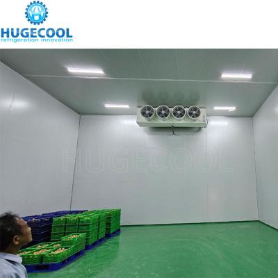 China Customized Ice Cold Room Suitable For Supermarket Walk In Cooler for sale