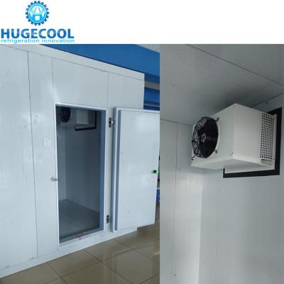 China 20FT Industrial Cold Storage Room Air Cooling Suitable for Home Industrial for sale