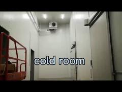 Customized Walk In Cooler For Cold Storage Refrigeration Provide After-sales Service