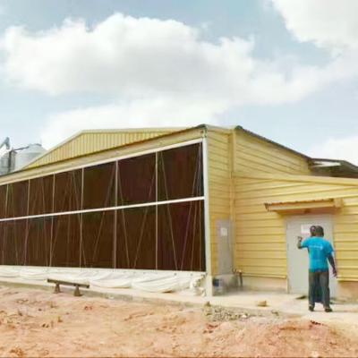 China Prefabricated steel building chicken house shed chicken house for sale for sale