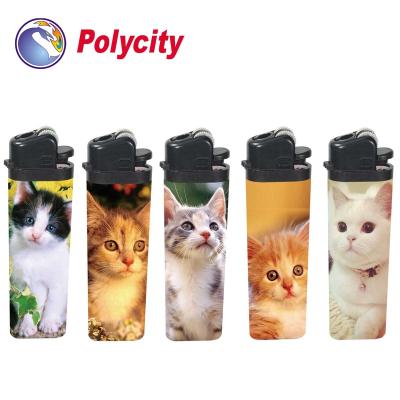 China DL-788 Flint Plastic Disposable Gas Lighter With Sticker Wrapped for sale